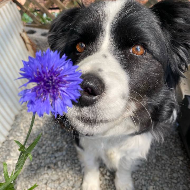 F8c9b6fd fbf3 4cce b528 5aa33e8698d1 1620265359724