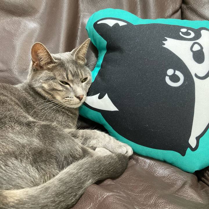 F8c9c534 f374 4318 9d97 9d8de8b15543 1626262227413