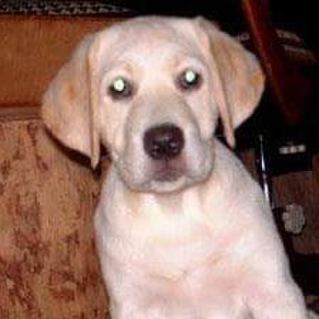 F8c9dc93 3656 40dd 9ac2 c7abf12fcf5a 1630744306159