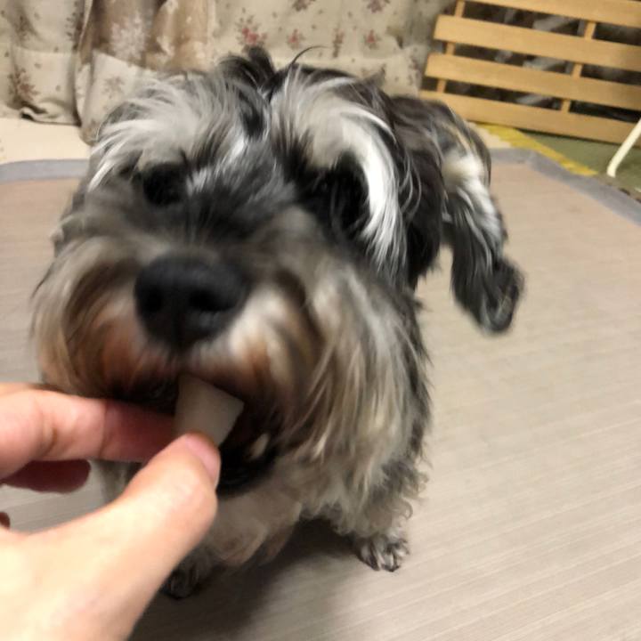 F8ca2ddb 7f0e 4463 966f b2aa41a660a7 1631103672016