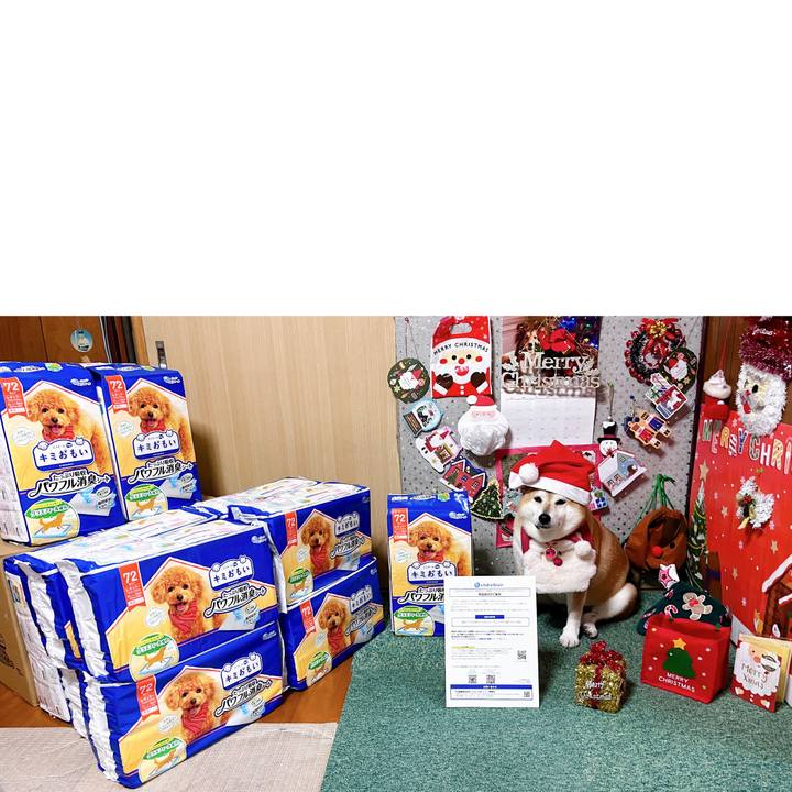 F8ca3361 7c60 482b 856f bd586853f144 1703071634666