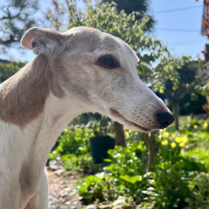 F8ca41ab 3548 4f1c acc3 a5f3abdb85f7 1776933356335