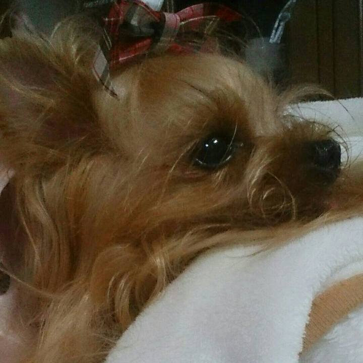 F8ca5fc1 be77 4195 acd1 211f7ae85433 1509023430535