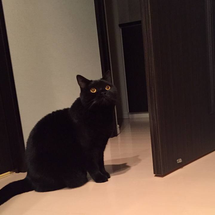 F8ca662d c2bc 4da6 8f87 f03ab0164874 1583066897789