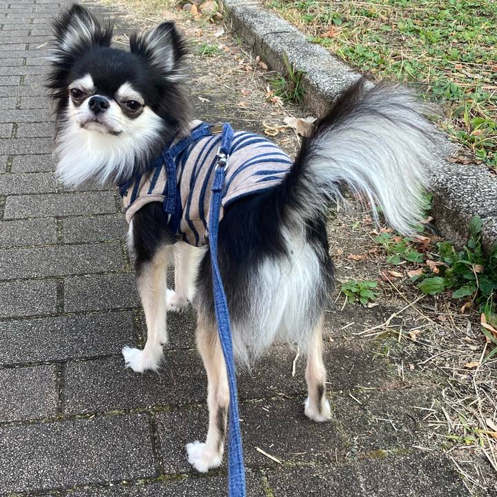 F8caa52d c2b2 4805 8d12 66b3a0324a43 1637415802202