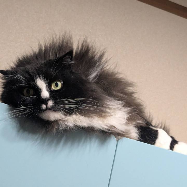 F8cacabf 1e53 4bda 9bb5 716ee566c6d1 1761437083287