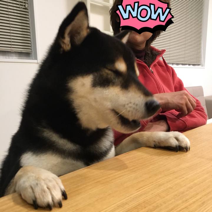 F8cadb68 e53c 4287 b039 5319ee1e2ec5 1513927429041