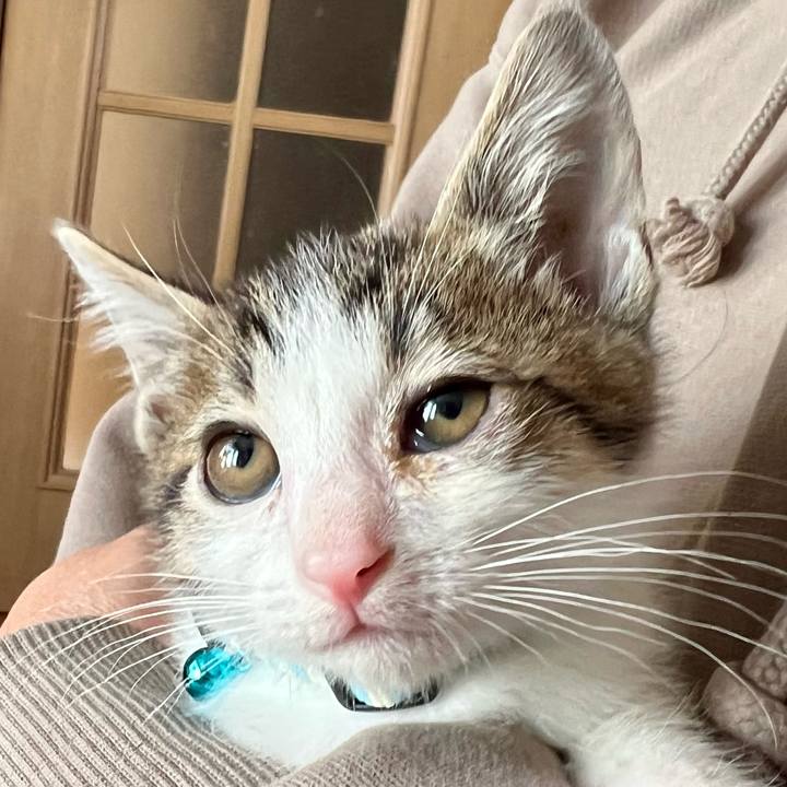 F8caea7e e2ec 4f89 8888 d21b2b0a23a6 1762642610182