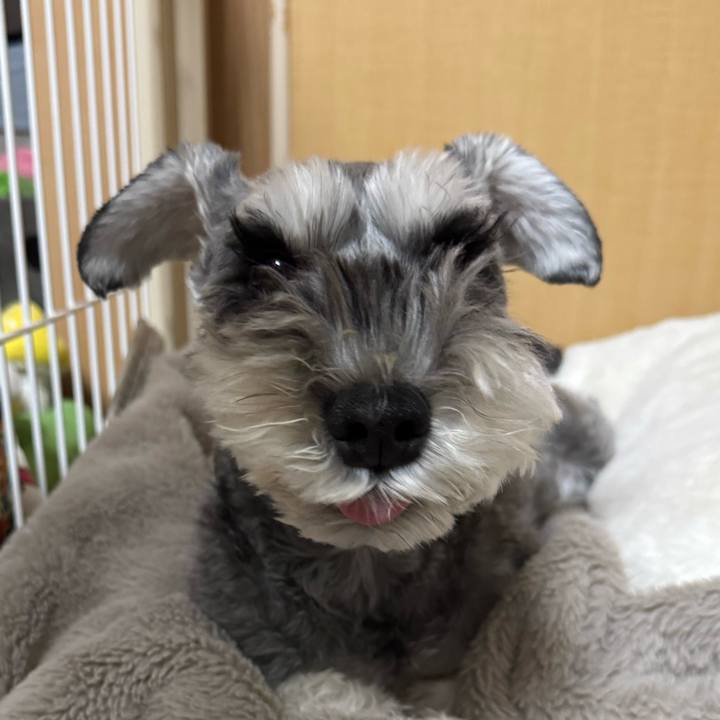 F8caebd4 cc44 4b83 85ec 0ee8df456d6c 1762772825547