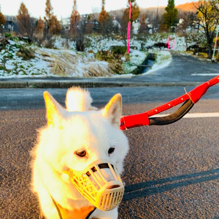 F8cb1076 0de9 4a77 875d b9ef4b64a8eb 1668732195539