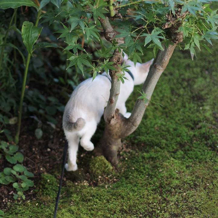 F8cbb35d 7c94 41ad 9c9e 5a55b5fa792d 1603771167378