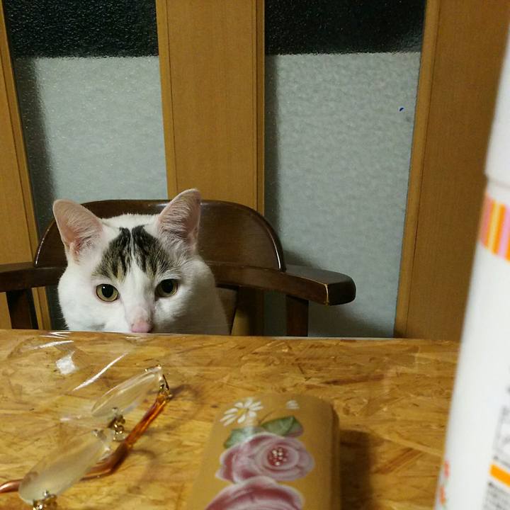 F8cbf4be 6307 43dd 94da 689c6b952bae 1511760813688