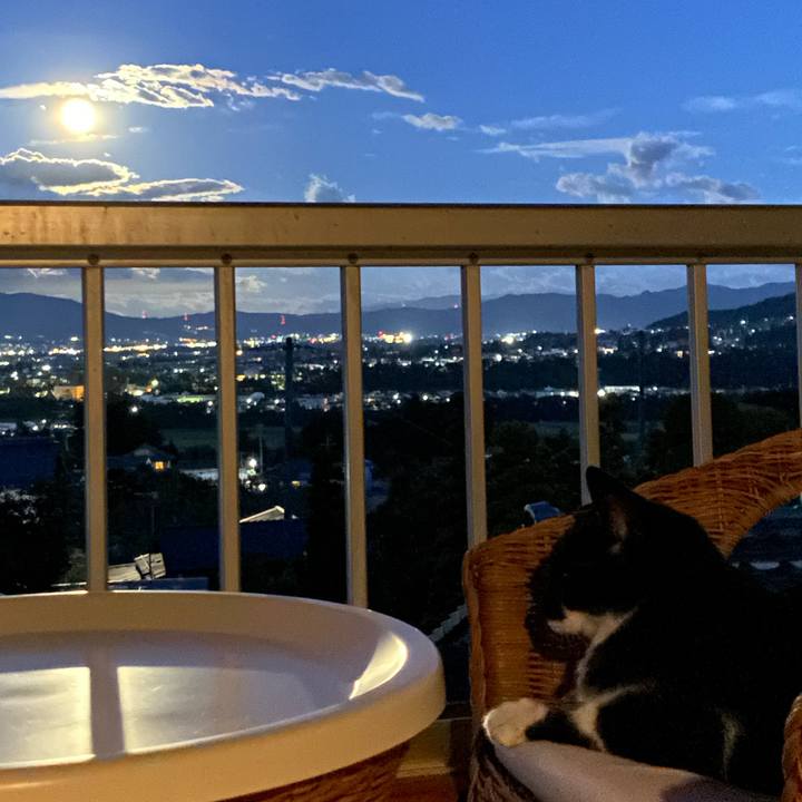 F8cc2969 ad99 43a6 acfc 5e7a60a87446 1660214734573