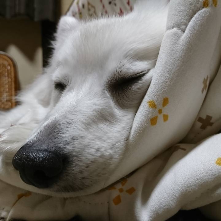 F8cc446f 20e8 4bd0 9ab6 a2afdfab5636 1540654393693