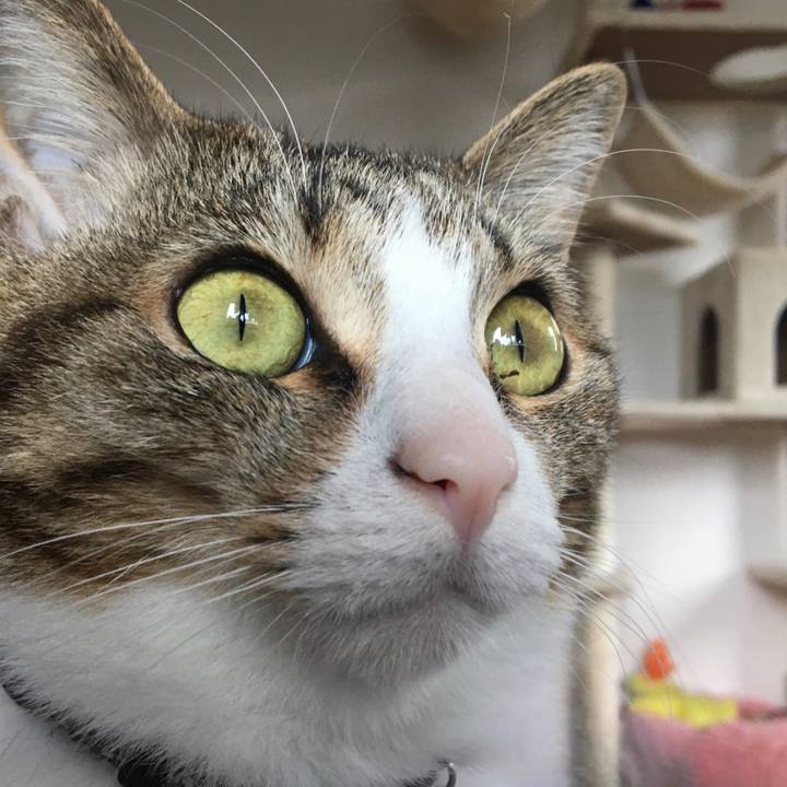 F8cc512e e723 4dbf 8580 9c86c9ada9cc 1681534703013