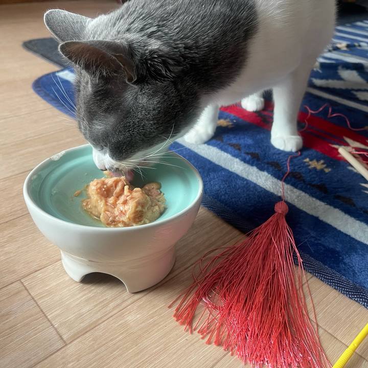 F8cc5ebe 9211 4aec 8bb1 487910d76e84 1645509062809