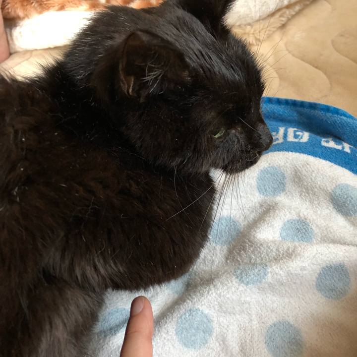 F8cc9828 8b7a 48e7 8e96 8cc34ec1e284 1557867582974