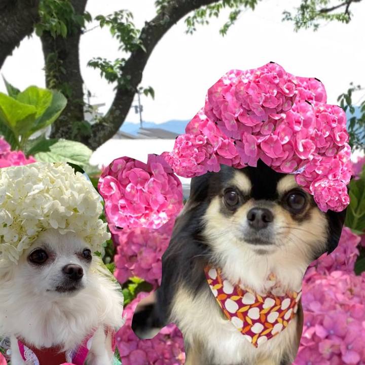 F8ccd99e 8cfd 44b6 9b02 71f403c546bf 1624963650361