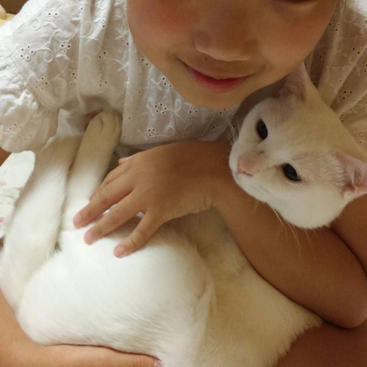 F8ccd9dc 6ab4 4877 b56d 3f201b765563 1537960071056