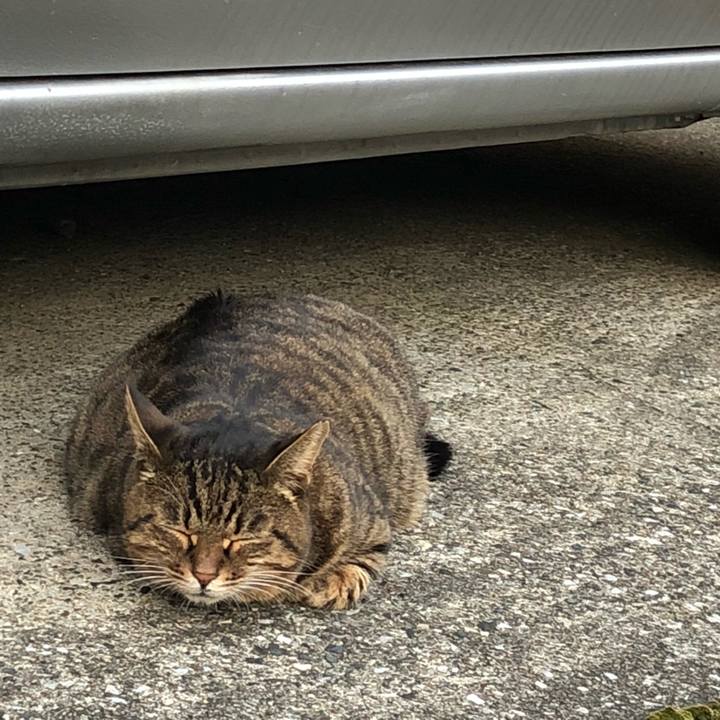 F8ccf9cd be0d 4add 8ac5 ecd9414b5ce1 1540171108438