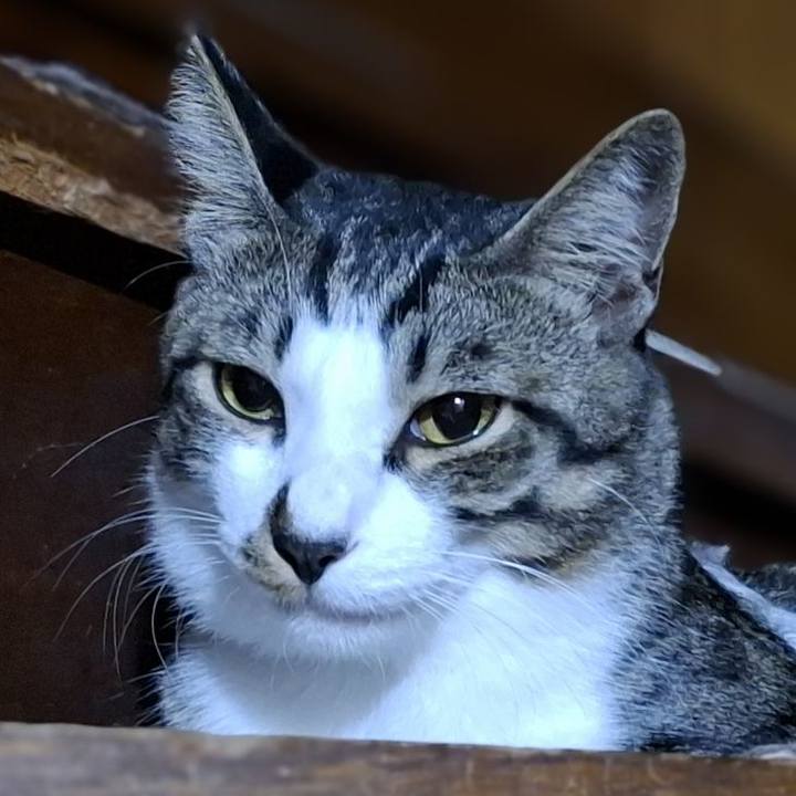 F8cd1155 649e 4d19 b2f2 6ad0fe1f93c3 1755904084094