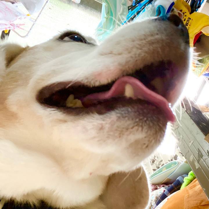 F8cd3d13 65c6 4929 963b 76edae016d9c 1623998089964