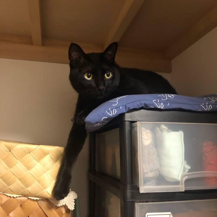 F8cd6e60 cf6d 41ec bbb0 65be4134ed40 1553775701630