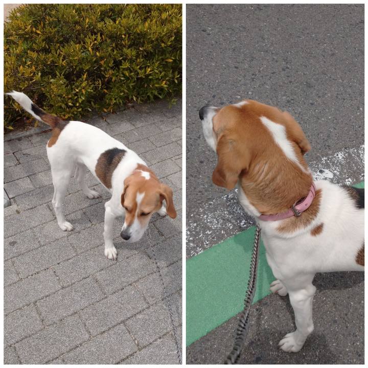 F8cd90e9 e115 4919 b361 97748cd977ef 1587528567053