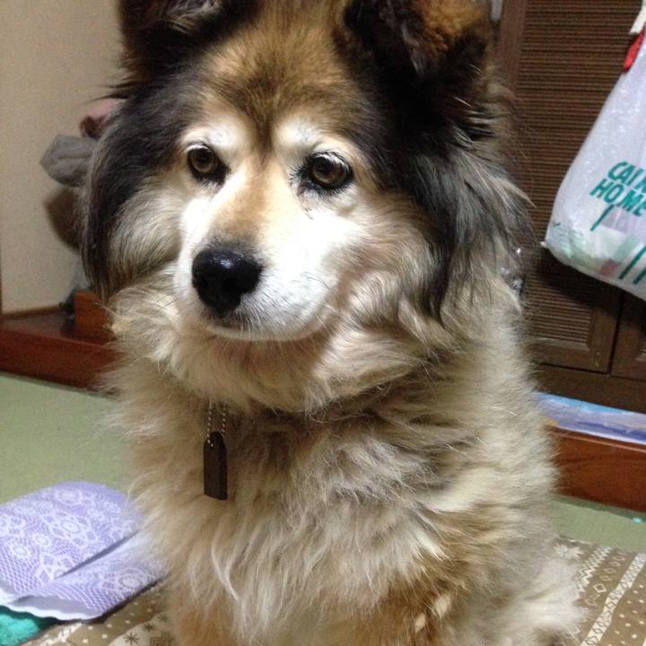 F8cdb496 3ae8 4898 bc36 6dc58f1cc51d 1550797633004