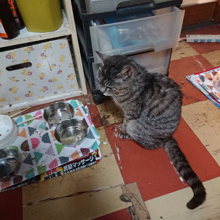 F8cdb64b 2778 4ed0 9a8f d2f6fcdfead8 1588368830053