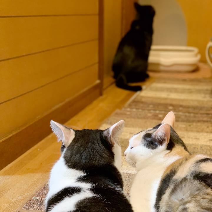 F8cdb95e 33d6 40c8 afd8 fb7d4ed76a59 1539916441758