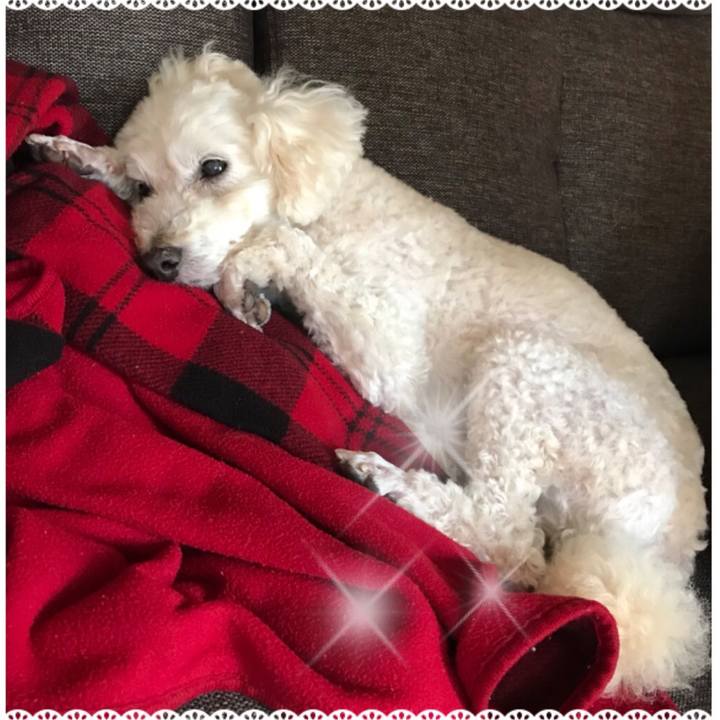 F8cdd50c 9f79 428a 8919 3f8a16c5df67 1525612944448