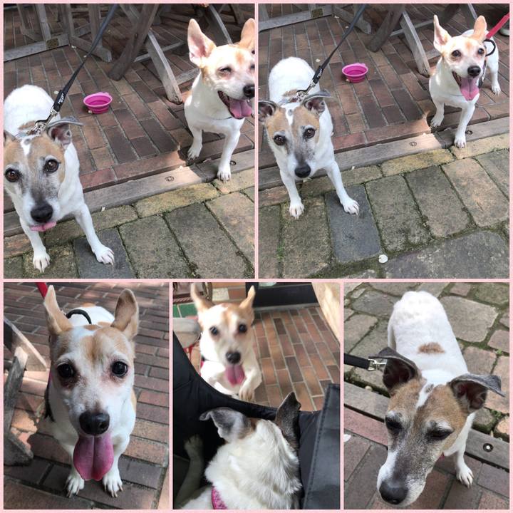 F8ce132a b27e 408b 973d ff58894274b7 1525156204759