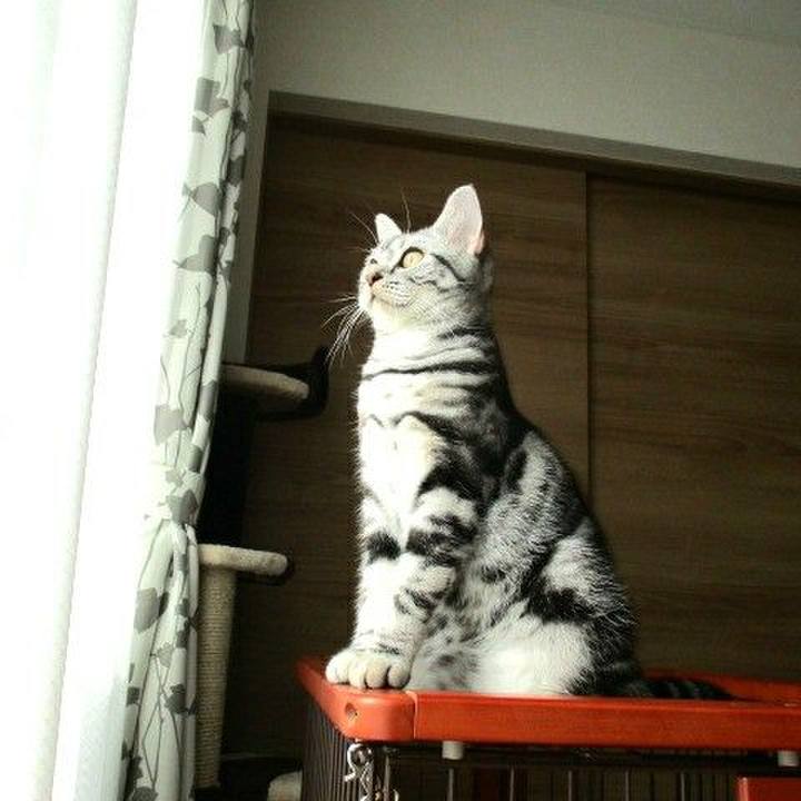 F8ce2487 0148 49a2 8e37 207e548ff207 1539481910360