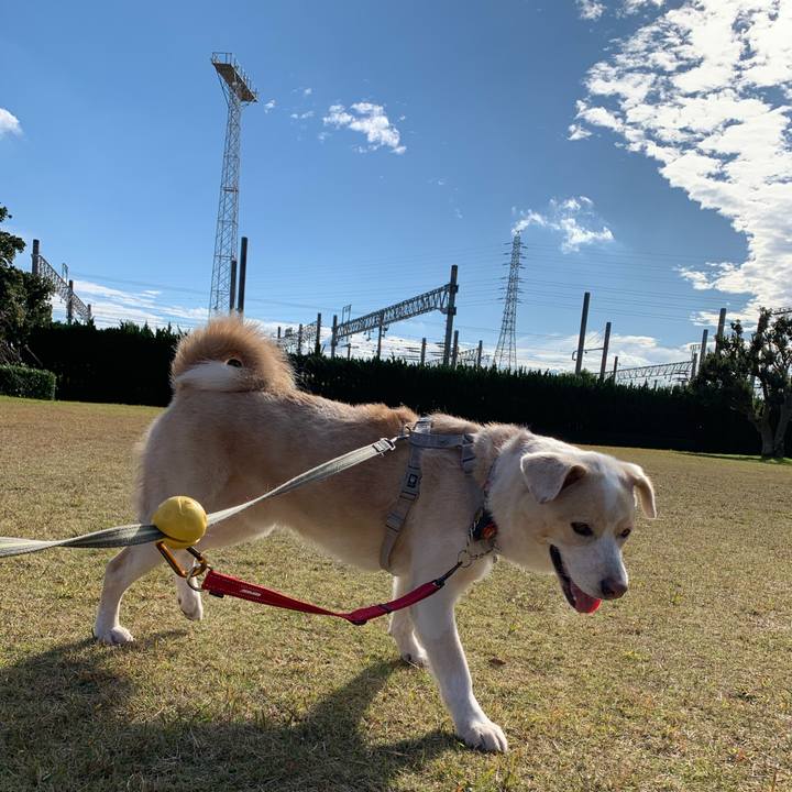 F8ce7370 2e0d 43f7 8d1e 4c5ef520e2ff 1575557106820