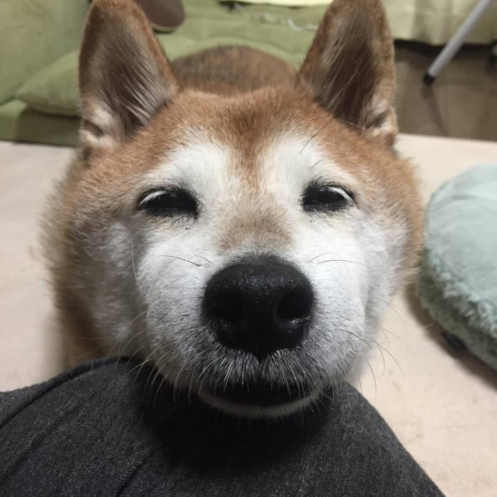 F8ce9748 ed6c 434b 9dc6 2bd7262c8231 1535886342245