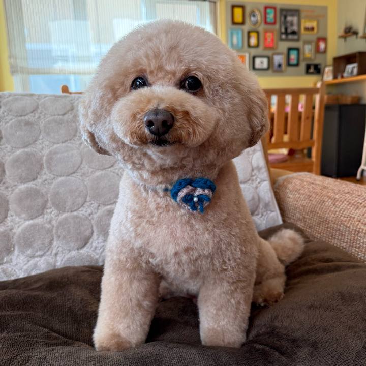 F8ce9e43 5478 4258 9a75 613cad8e3a2c 1771154595647