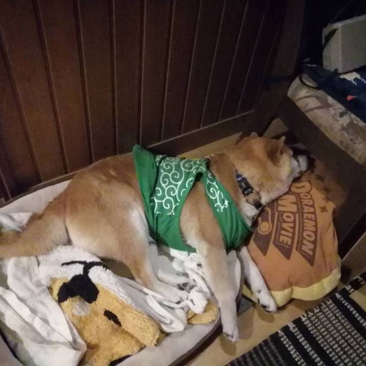 F8ceaac2 91ee 4a6d b710 5f5a41be9ab3 1587643992984