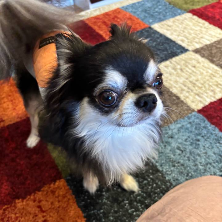 F8ceece4 386d 4afc 9433 7d1b3d2ee0e8 1748104254654