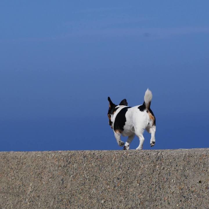 F8cf004f 9f30 4ae1 868d a3893535c421 1622356751293