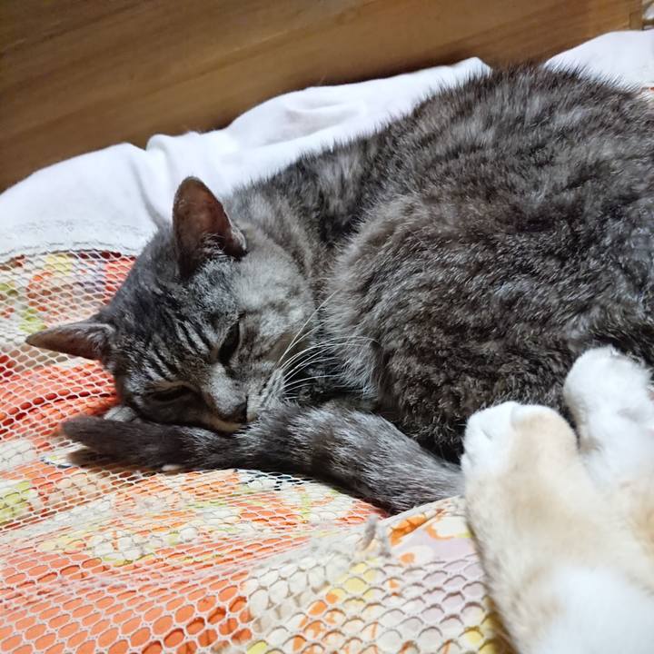 F8cf09da 79a5 4647 96b5 b1897e235449 1570110357426