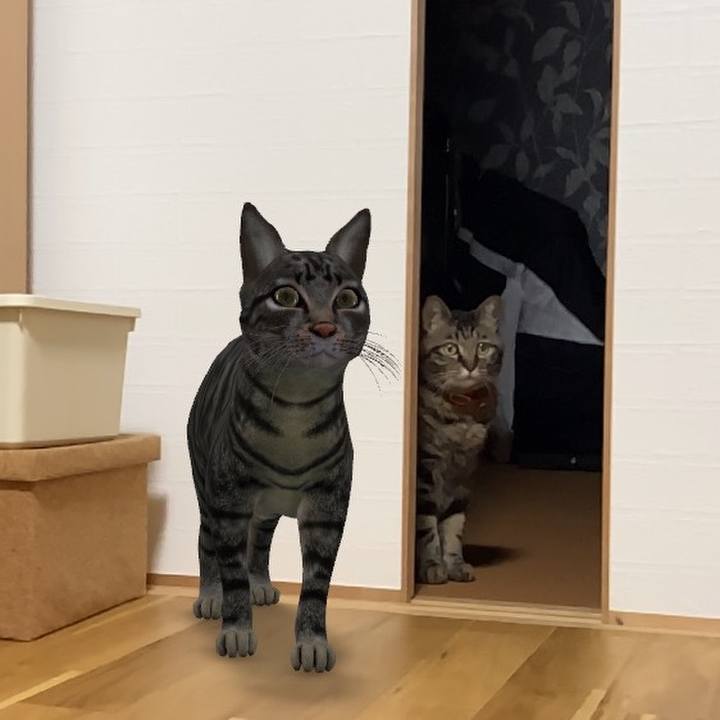 F8cf1f35 1ab3 4c21 b432 f4c343d3e057 1591271224334