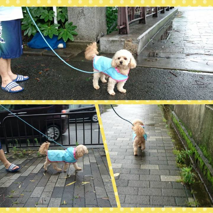 F8cf96f8 5955 40db b684 ff84ee7620f4 1530923478656