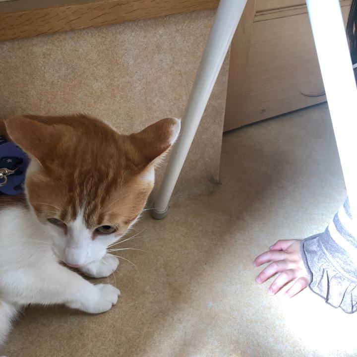 F8cf97f5 15b9 4a90 b218 84fed2503122 1540259975868