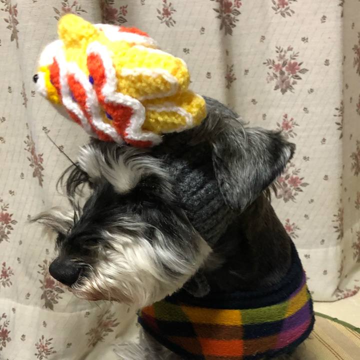 F8cf9c02 4b0f 4d05 86c4 e291ef51dd4c 1648555236783