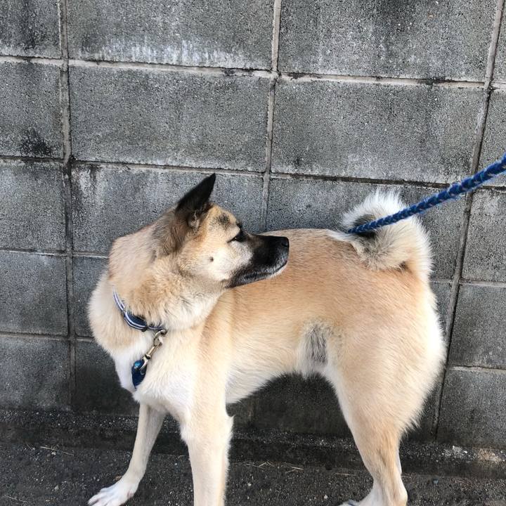 F8cf9d38 54eb 4215 9f46 4c085c8ddcbd 1603281587309