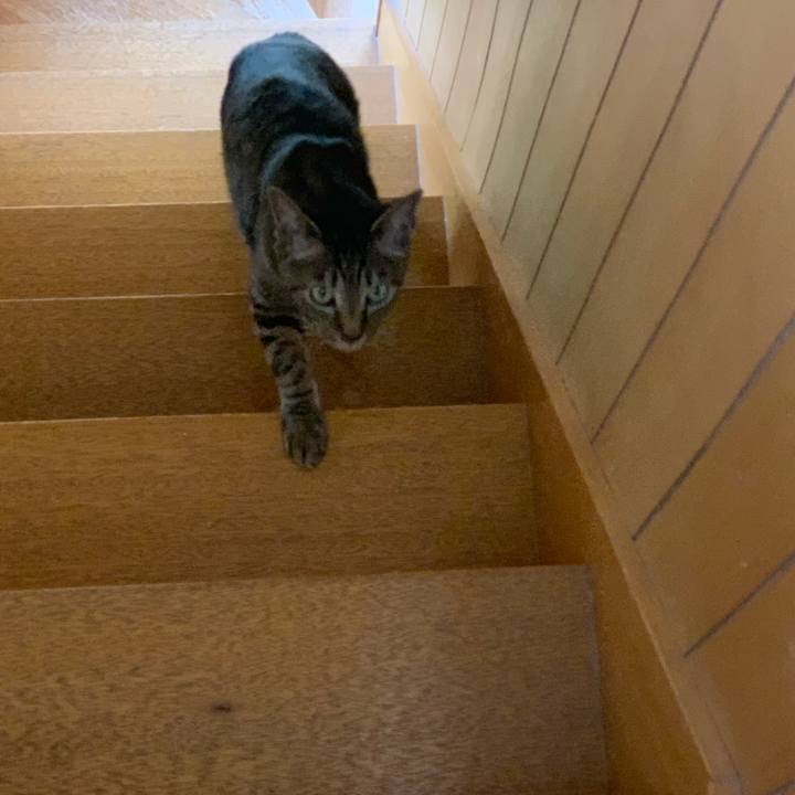 F8cfcf0d 7942 44e6 a858 b500f1515754 1555896577397