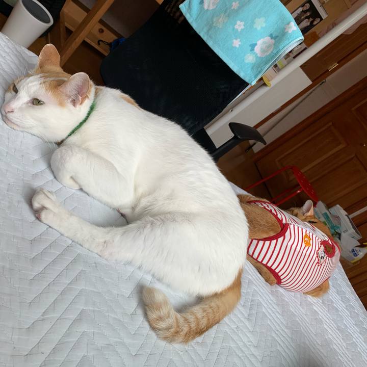 F8cfe3eb 039e 40bd a6e2 6f5dda928aa0 1587874744824