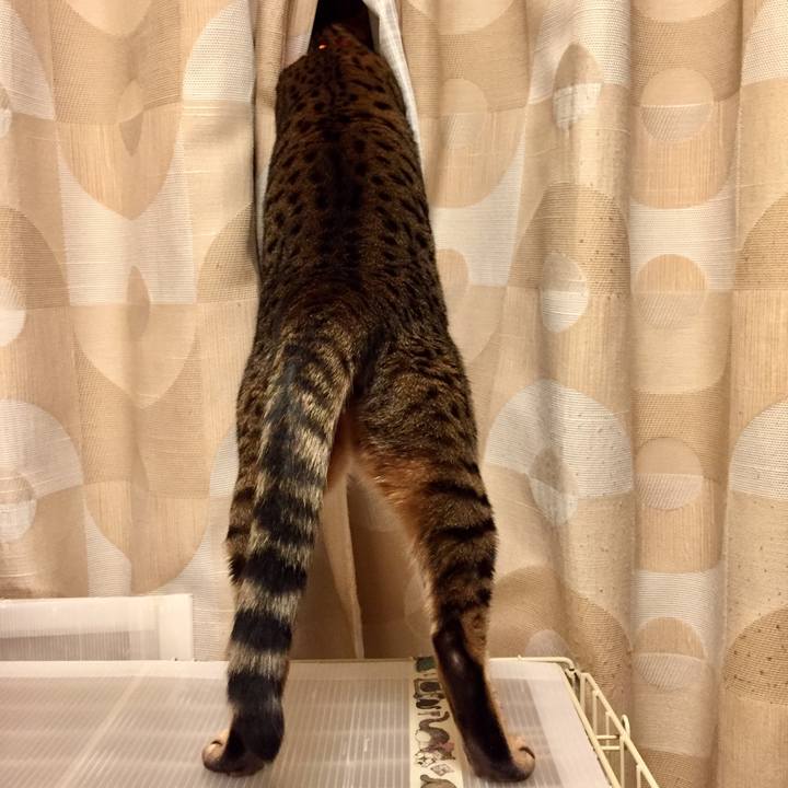 F8d00cac 7ee7 48a3 936d 612cee4a13a8 1543534180346