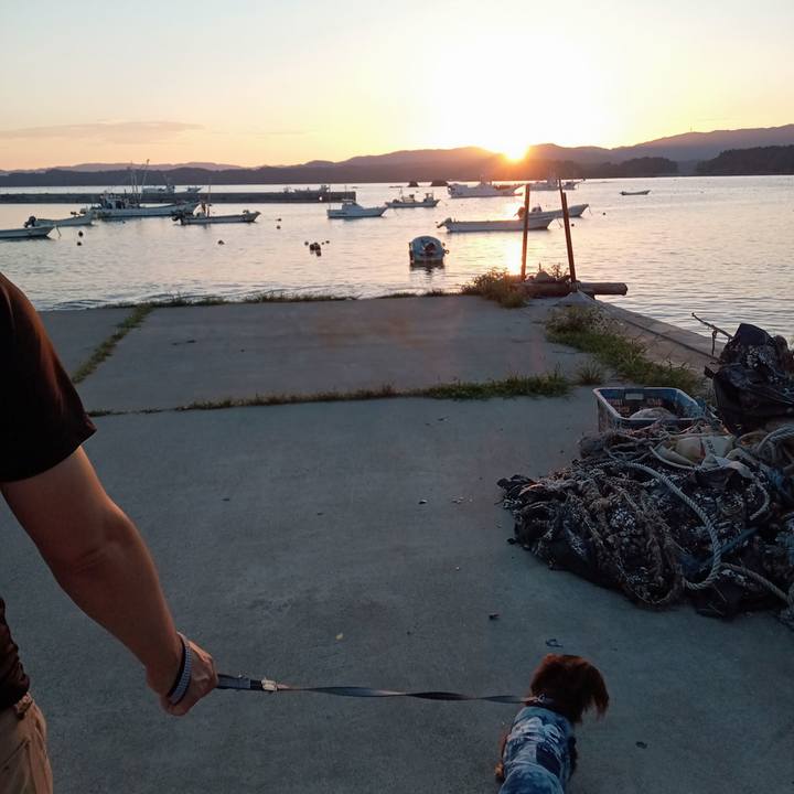 F8d05155 59f8 4bf9 9ced cb5bc3e880c3 1755382617672